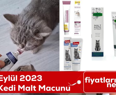 2023 Eylül Kedi Malt Macunu Fiyatları