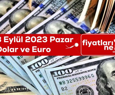 3 Eylül 2023 Pazar Dolar Ve Euro Kaç TL Oldu?