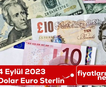 4 eylul dolar Euro sterlin fiyatları