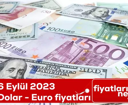 6 Eylül 2023 Dolar - Euro fiyatı